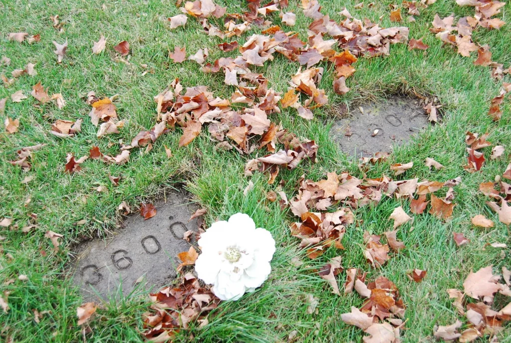Number 3600 on a headstone, with a flower brightly depicted in front of it. 